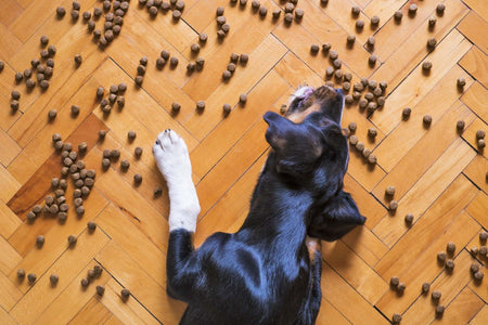 Pet Food